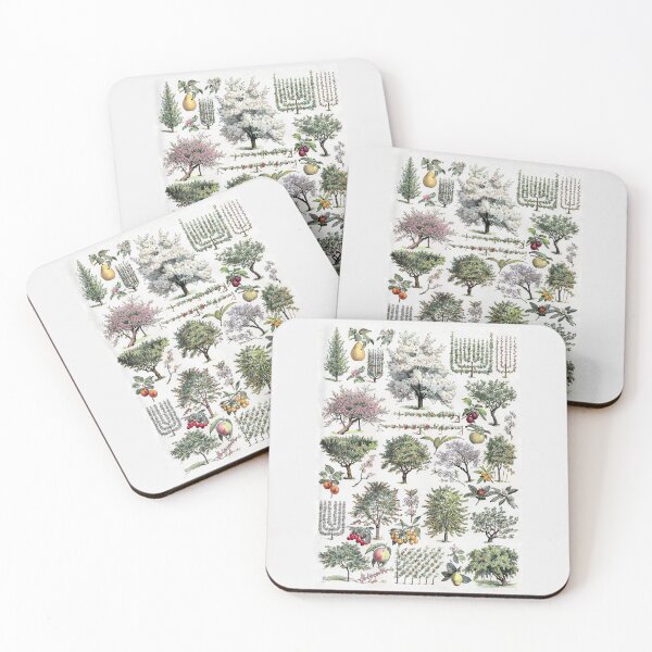 Item preview, Verger Vintage Illustration by Millot - French Orchard Trees Identification designed and sold by molamode.