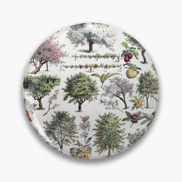 Item preview, Verger Vintage Illustration by Millot - French Orchard Trees Identification designed and sold by molamode.