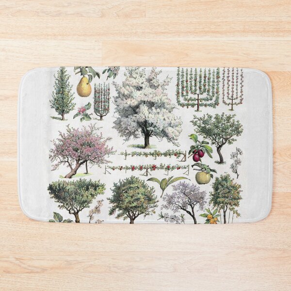 Item preview, Verger Vintage Illustration by Millot - French Orchard Trees Identification designed and sold by molamode.