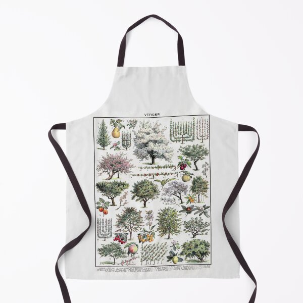 Item preview, Verger Vintage Illustration by Millot - French Orchard Trees Identification designed and sold by molamode.
