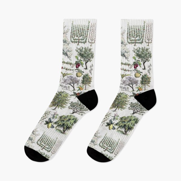 Item preview, Verger Vintage Illustration by Millot - French Orchard Trees Identification designed and sold by molamode.