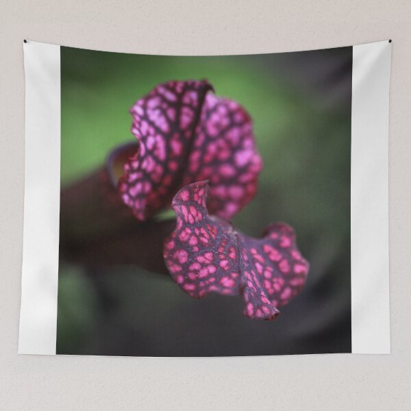 Item preview, Waiting patiently designed and sold by Mandy Brown.