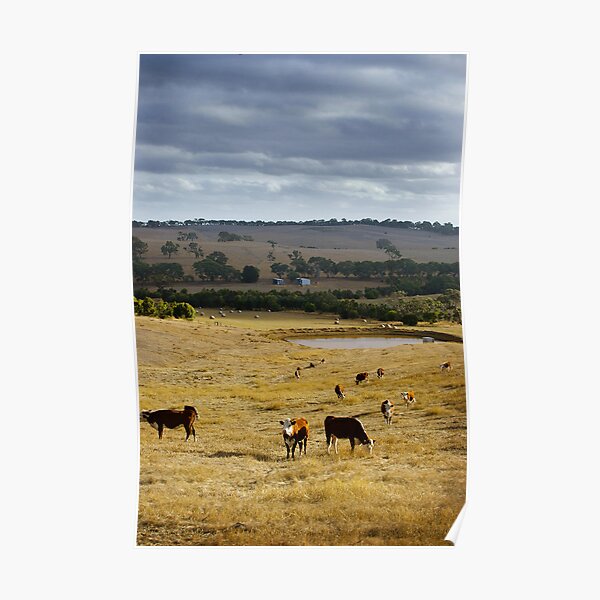 Typical Australian Terrain Poster