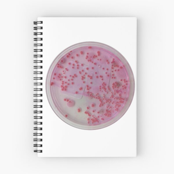 Item preview, Yeasts growing on DRBCA designed and sold by Fromthelab.