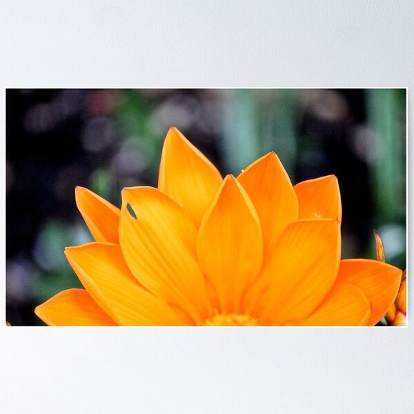Item preview, Pop of Orange designed and sold by Sophia Spach.