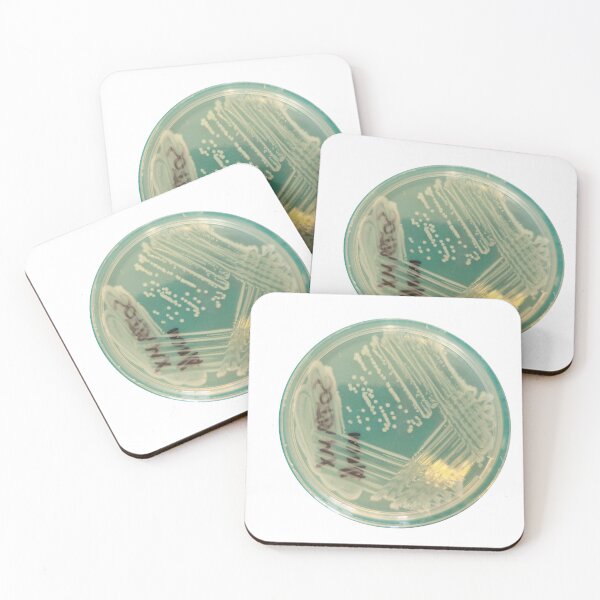 Item preview, Salmonella isolation streak designed and sold by Fromthelab.