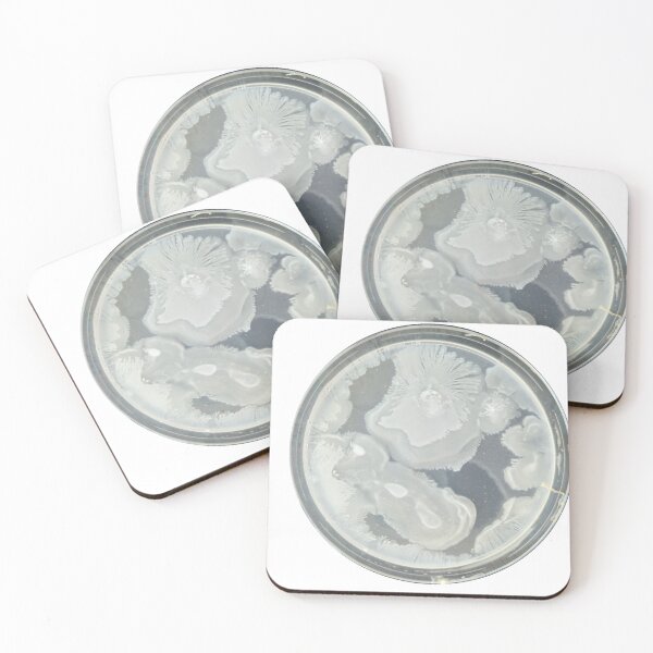 Item preview, PCA plate designed and sold by Fromthelab.