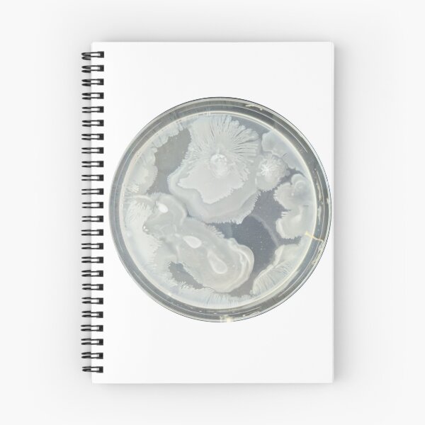 Item preview, PCA plate designed and sold by Fromthelab.