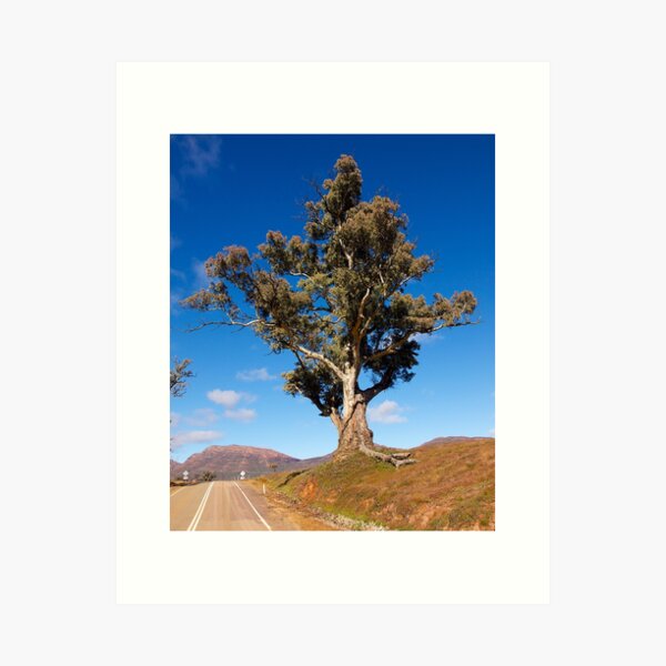 Item preview, Strength, Wilpena Pound. South Australia. designed and sold by johnrf.