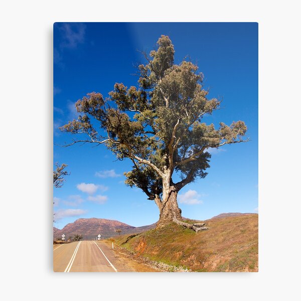 Item preview, Strength, Wilpena Pound. South Australia. designed and sold by johnrf.