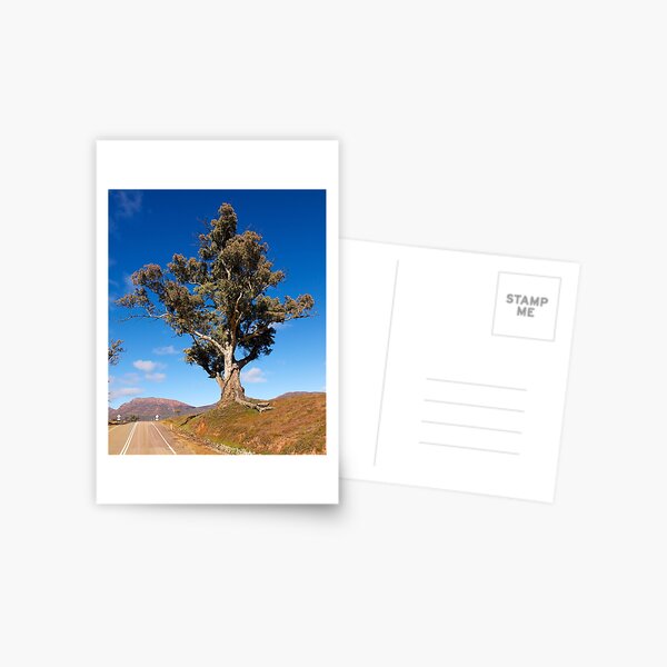 Item preview, Strength, Wilpena Pound. South Australia. designed and sold by johnrf.
