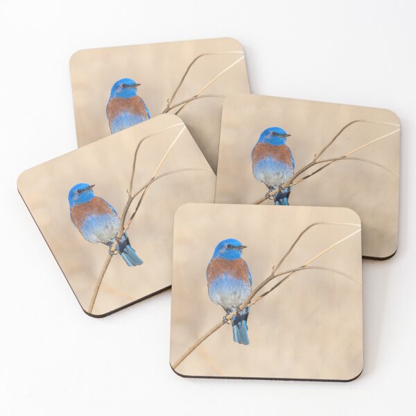 Item preview, Male Western Bluebird Perched on a Sunflower Stalk designed and sold by Jeff Goulden Photography.