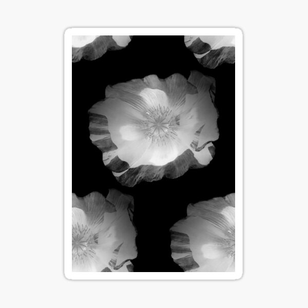 black and white frilly poppy effect Sticker