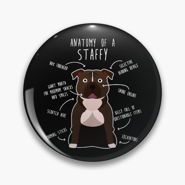 Item preview, Staffordshire Terrier Staffy Anatomy designed and sold by Clara Hollins.