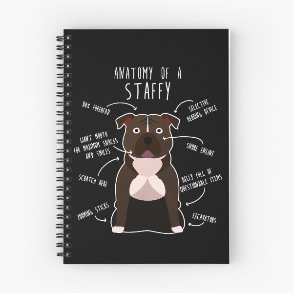 Item preview, Staffordshire Terrier Staffy Anatomy designed and sold by Clara Hollins.