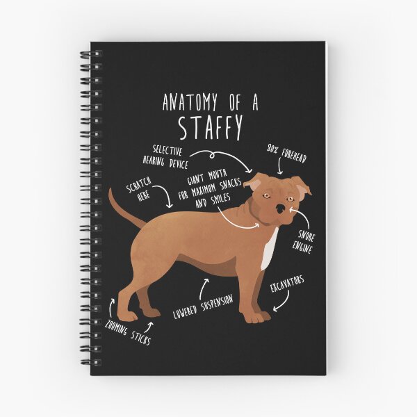Item preview, Staffordshire Terrier Staffy Anatomy designed and sold by Clara Hollins.
