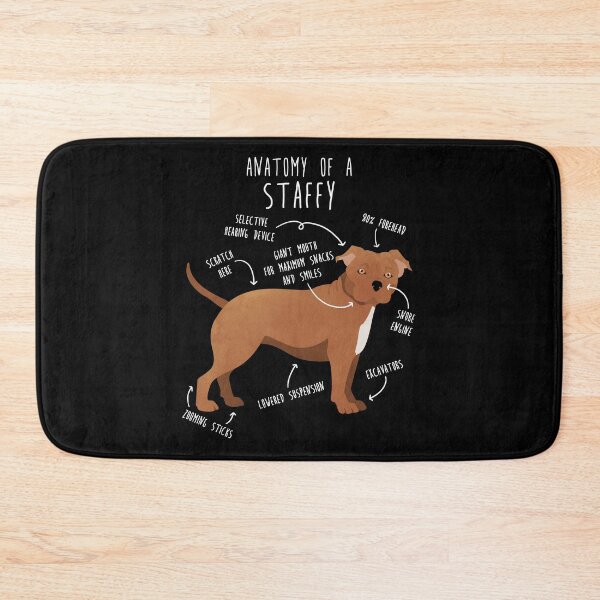 Item preview, Staffordshire Terrier Staffy Anatomy designed and sold by Clara Hollins.