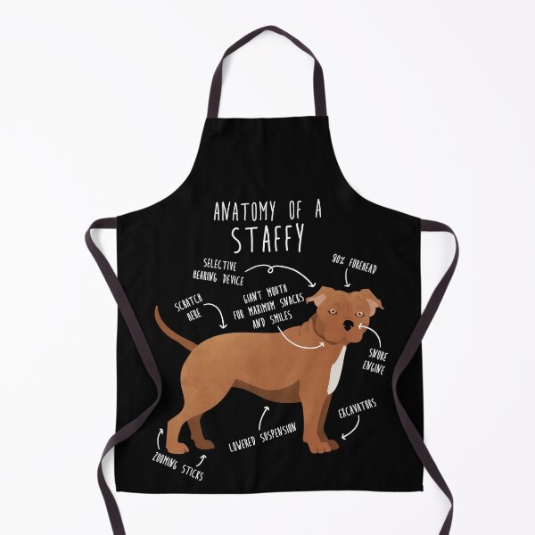 Item preview, Staffordshire Terrier Staffy Anatomy designed and sold by Clara Hollins.