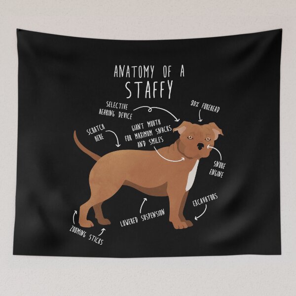 Item preview, Staffordshire Terrier Staffy Anatomy designed and sold by Clara Hollins.