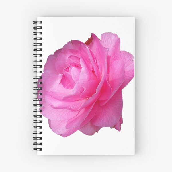 Item preview, Camellia flower head designed and sold by KABFA Designs.