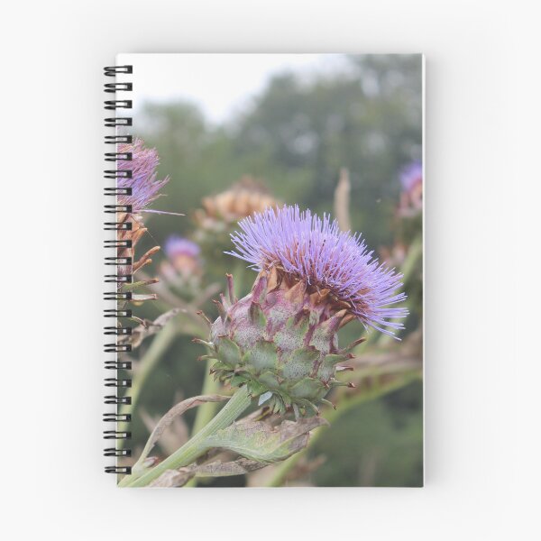 Artikelvorschau, Stachelige Distel entworfen und verkauft von smh2.