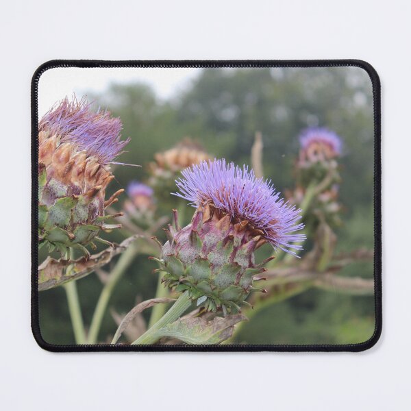 Item preview, Spiky Thistle designed and sold by smh2.