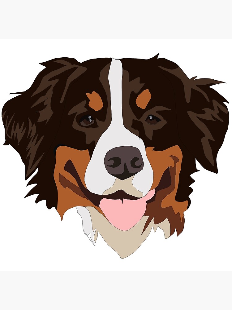 Red bernese mountain store dog