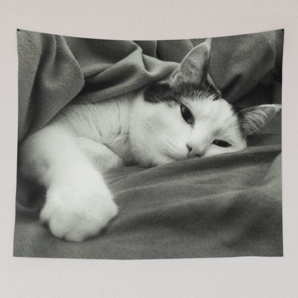 Item preview, Munchkin in Mama's bed! designed and sold by heatherfriedman.