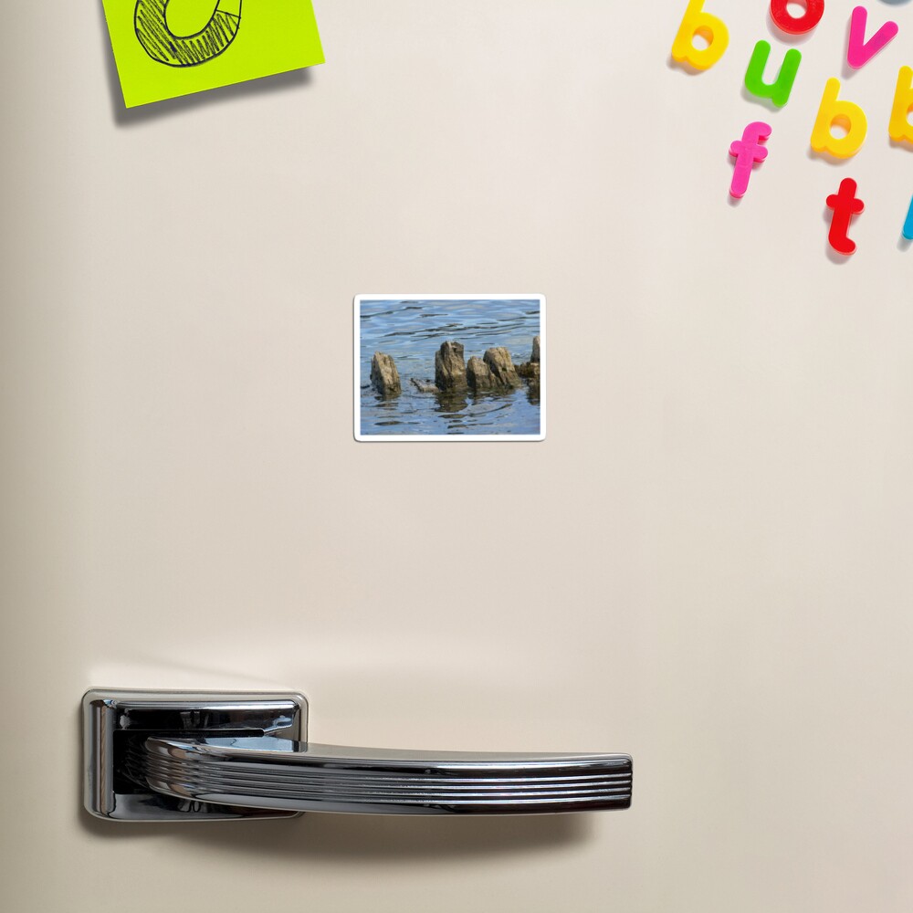 Item preview, Magnet designed and sold by stevewc2.