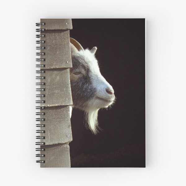Item preview, Peeping Goat designed and sold by stevewc2.