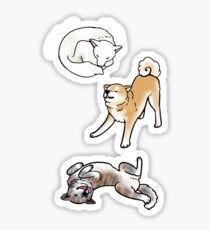 Akita Poses Sticker