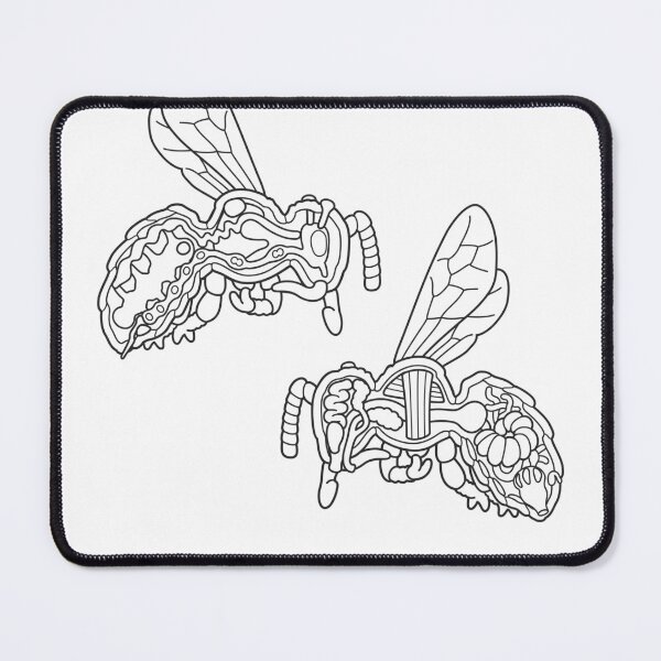 Item preview, Line Drawing of Honey Bee Anatomy Illustration designed and sold by taylorcustom.
