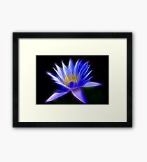 Flaming Flower Framed Print