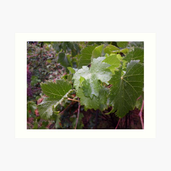 De`Vine Art Print