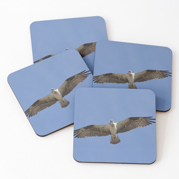Item preview, Eye contact with Osprey designed and sold by Zina Stromberg.