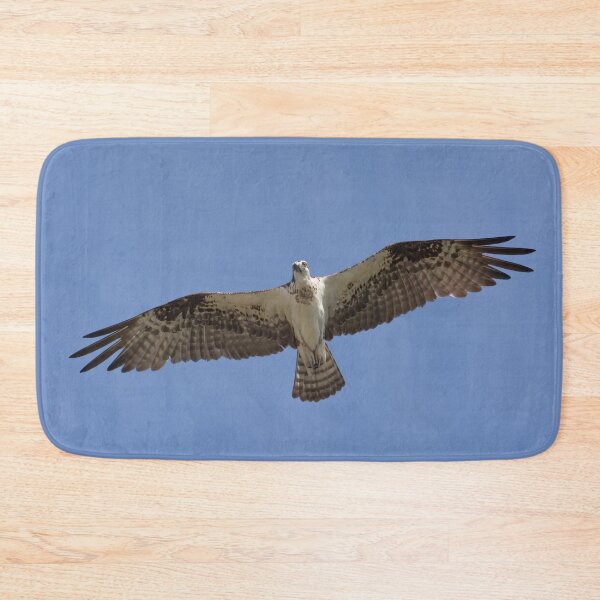 Item preview, Eye contact with Osprey designed and sold by Zina Stromberg.