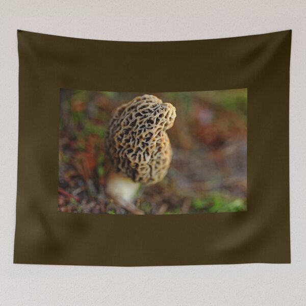 Item preview, Nature's Little Treasure designed and sold by Debbie Oppermann.