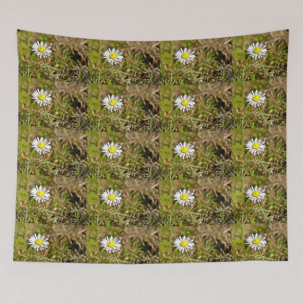 Item preview, Close Daisy B designed and sold by VikingVisual.