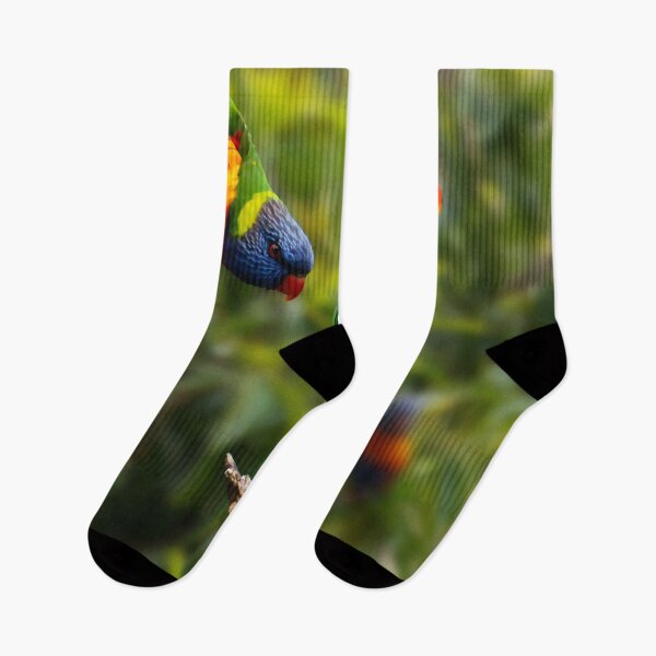 Item preview, Rainbow Lorikeet Love, Australian Birds, Bright and Colorful Birds with personality and sparkle designed and sold by Orianah.