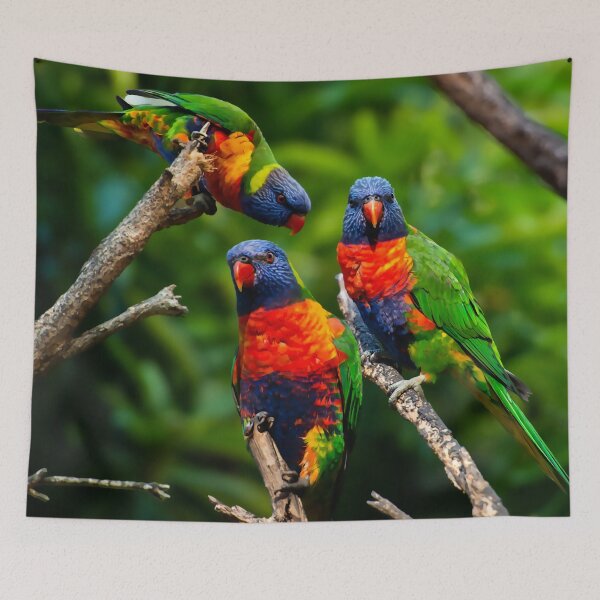 Item preview, Rainbow Lorikeet Love, Australian Birds, Bright and Colorful Birds with personality and sparkle designed and sold by Orianah.