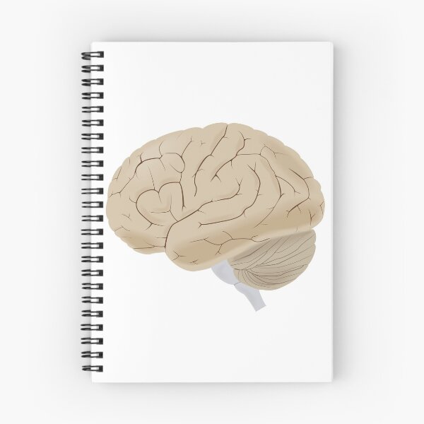 Item preview, Brain designed and sold by GwapoGear.