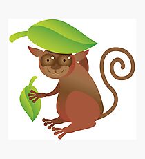 A TARSIER wild animal of the Phillipines hiding under leaves Photographic Print
