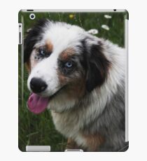 willow iPad Case/Skin