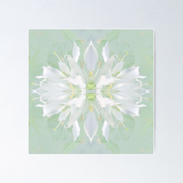 Item preview, Pale Green Mexican Orchid designed and sold by skottieo.