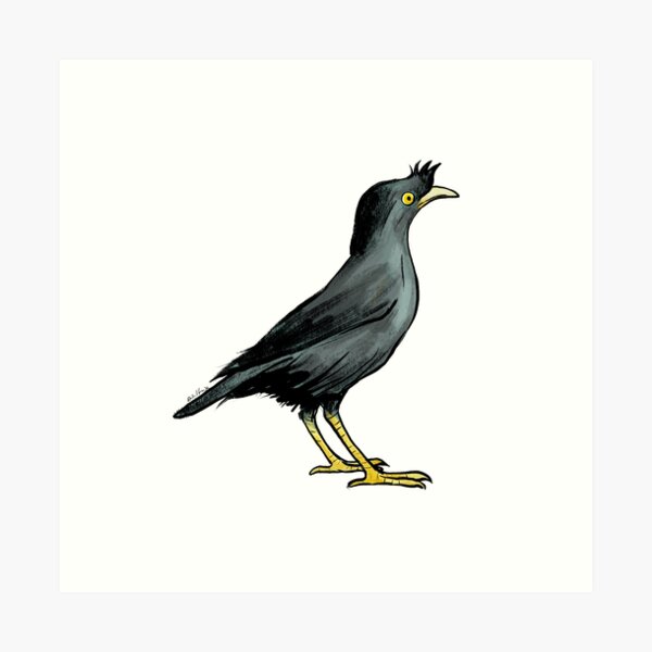 Myna Bird Stickers – B. Miyo Art