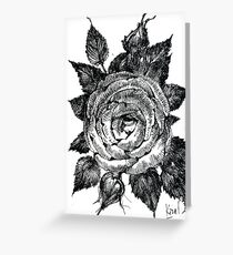Rose. Graphics Greeting Card