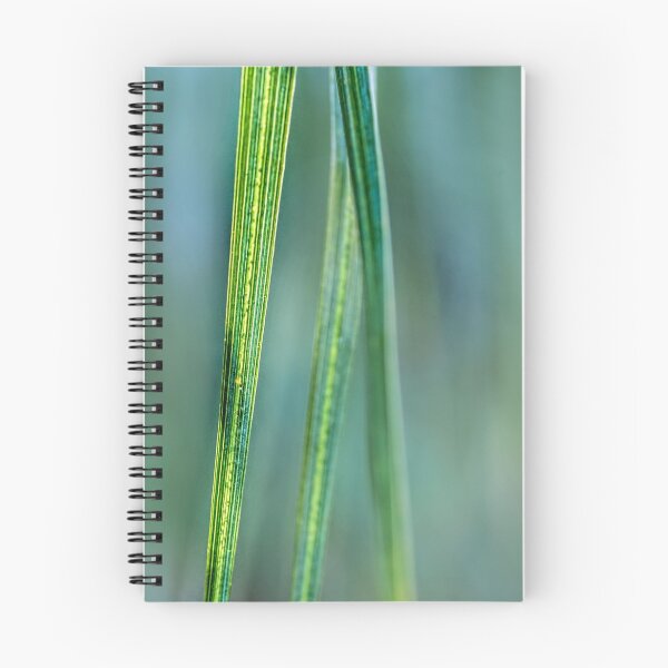 Item preview, Zen moment designed and sold by Art in Nature.
