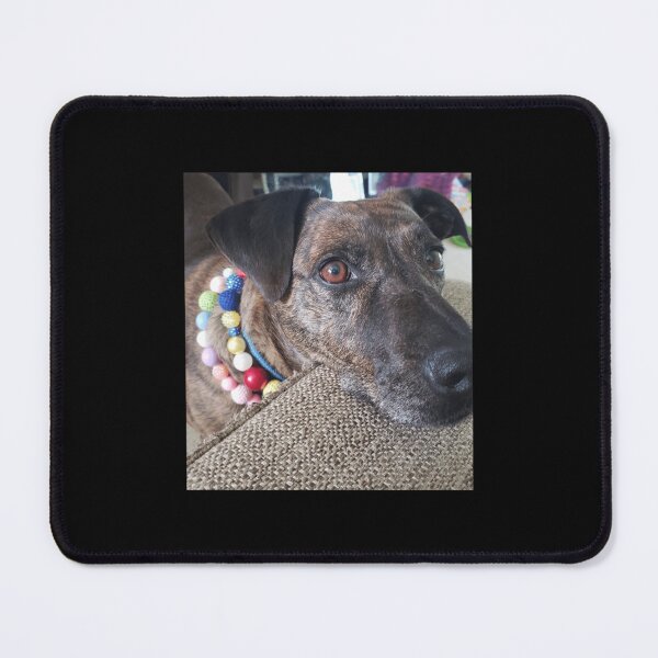 Item preview, Cute dog playing dress up Premium  designed and sold by polletparter.