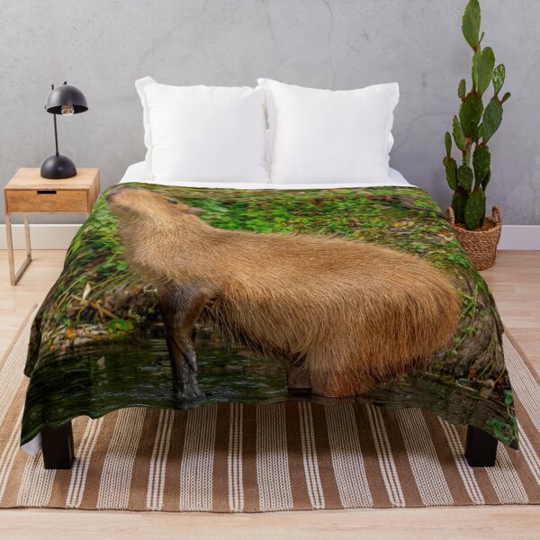 Item preview, Capybara taking the morning air designed and sold by Dalyndigital Photography.