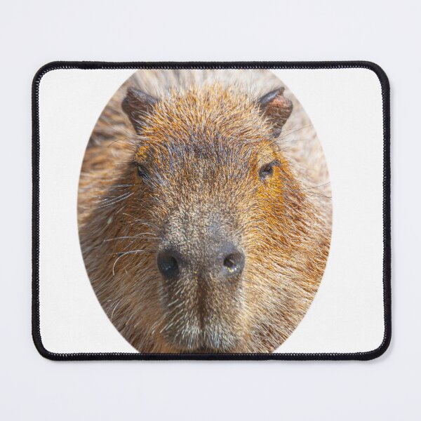 Item preview, Capybara Head in the round designed and sold by Dalyndigital Photography.